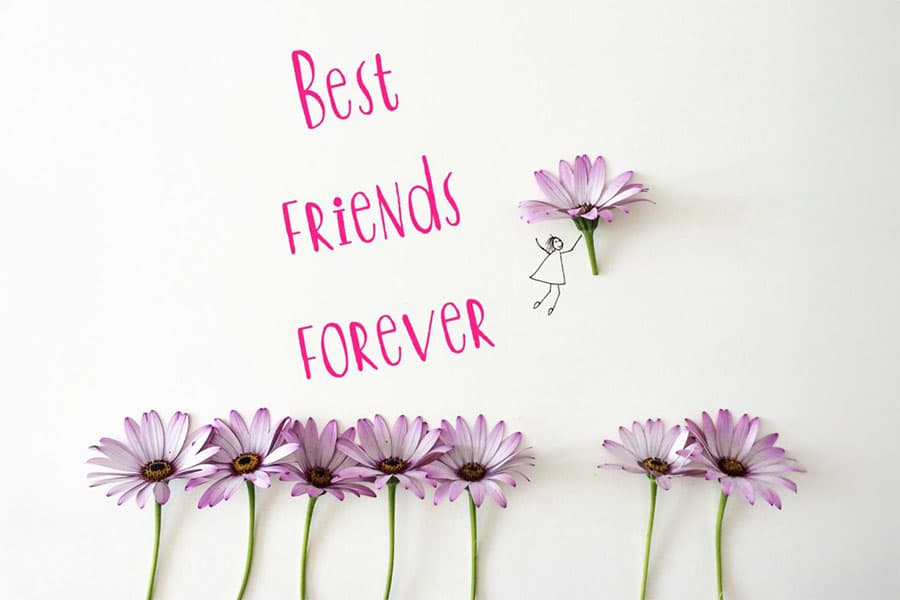 Schriftzug „Best friends forever“ mit rosa Gerbera