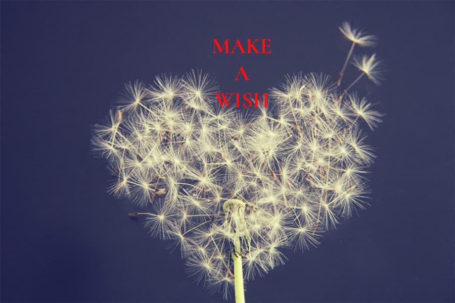 Pusteblume in Herzform mit dem Schriftzug „Make a wish“